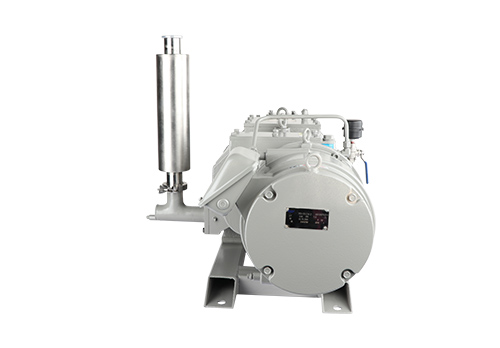 RKD0100干式螺桿真空泵